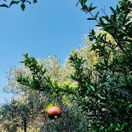 Ricomincio Da 3 2* Pompéi